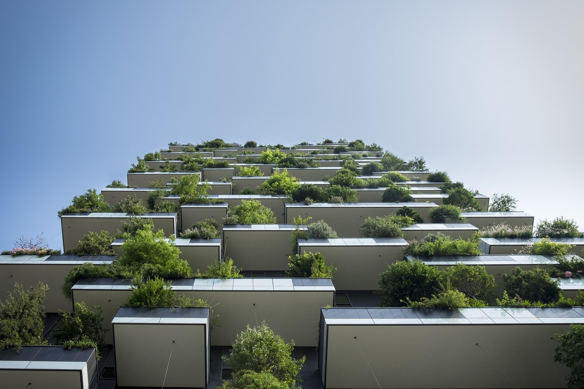 Can property developers help to solve the biodiversity crisis?