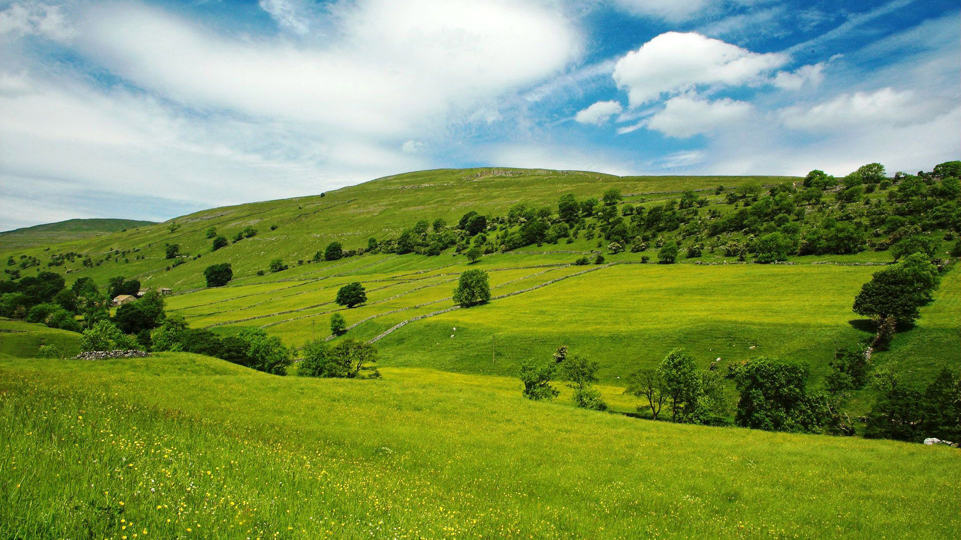 Carbon offsetting still a vital issue for UK businesses